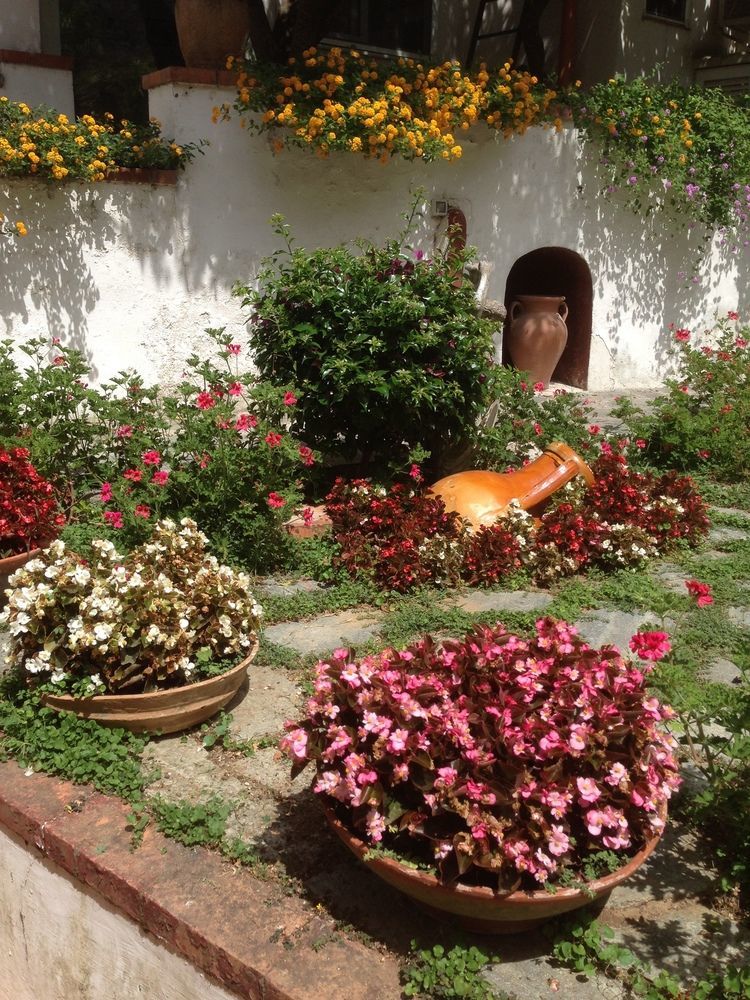 Mediterraneo Bed & Breakfast Ανακάπρι Εξωτερικό φωτογραφία