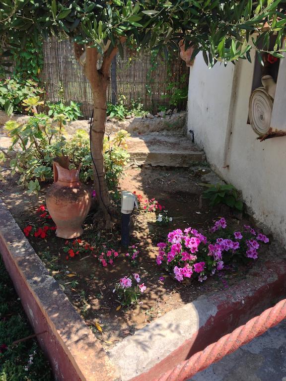 Mediterraneo Bed & Breakfast Ανακάπρι Εξωτερικό φωτογραφία