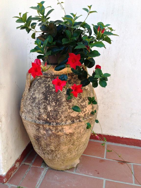 Mediterraneo Bed & Breakfast Ανακάπρι Εξωτερικό φωτογραφία