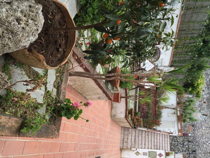 Mediterraneo Bed & Breakfast Ανακάπρι Εξωτερικό φωτογραφία